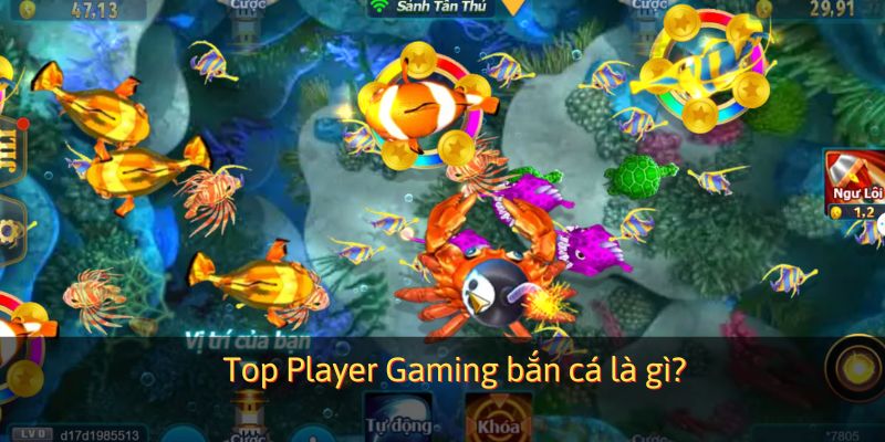 Bắn cá Top Player Gaming là gì?