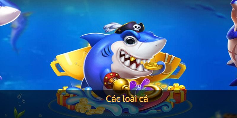 Đa dạng sinh vật