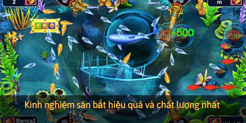 Kinh nghiệm săn bắt hiệu quả và chất lượng nhất