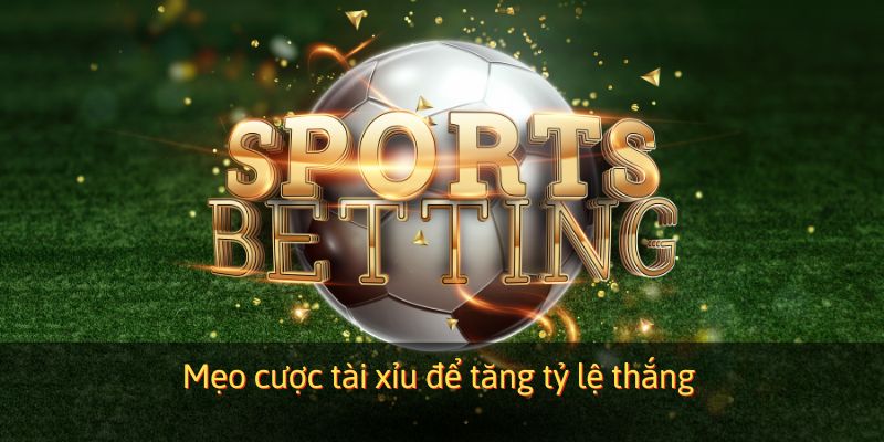 Tổng hợp mẹo cược tài xỉu